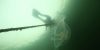 Meduusa ja sukeltaja Hauensuolen hylkypuistossa. Kuvaaja: Jesse Jokinen