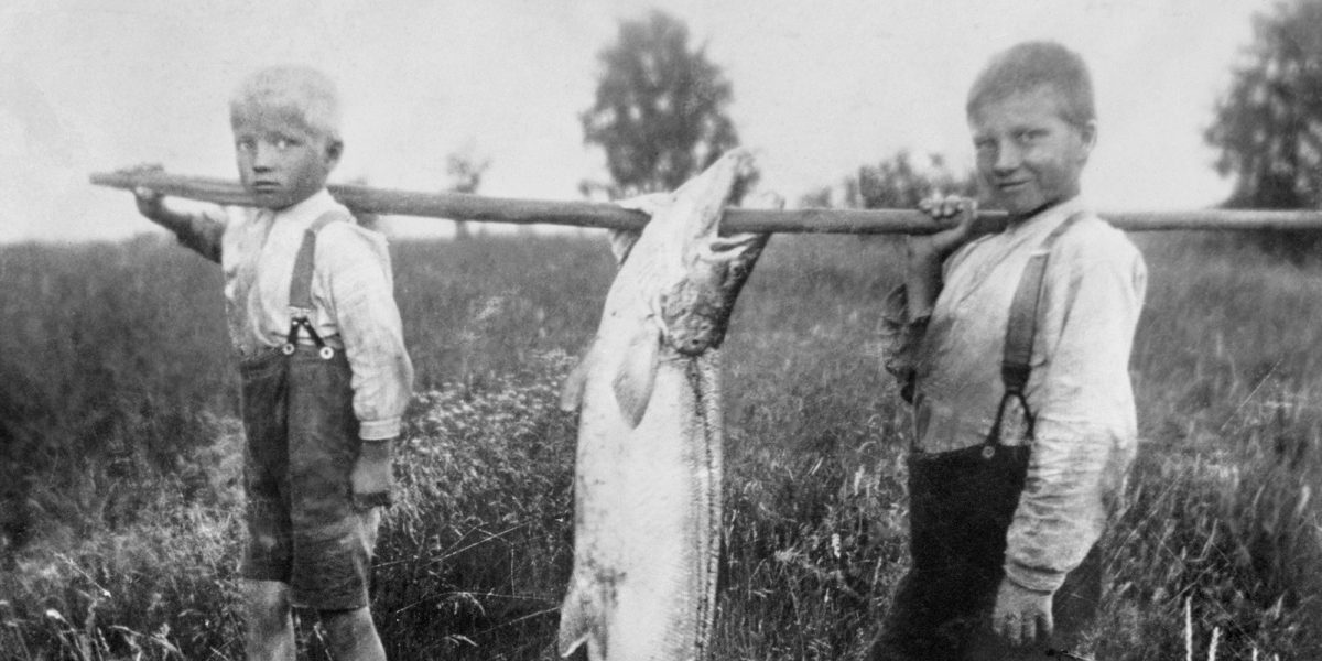 A record-breaking salmon in Muhos, 1928 (cropped image). Photo: Martti Kesäniemi / Kaleva / Press Photo Archive JOKA