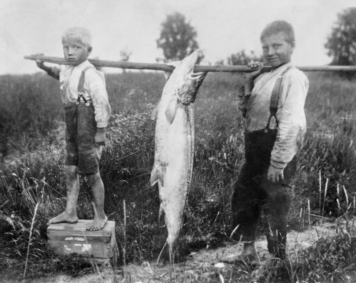 Rekordlaxen i Muhos 1928. Bild: Martti Kesäniemi / Kalevas samling / Journalistiska bildarkivet JOKA