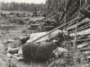 Svedjebrukare sover middag i Tuovilanlahti i Maaninka 1928. Foto: Ahti Rytkönen / Museiverkets Bildsamlingar. Objektinumero: KK2103:110