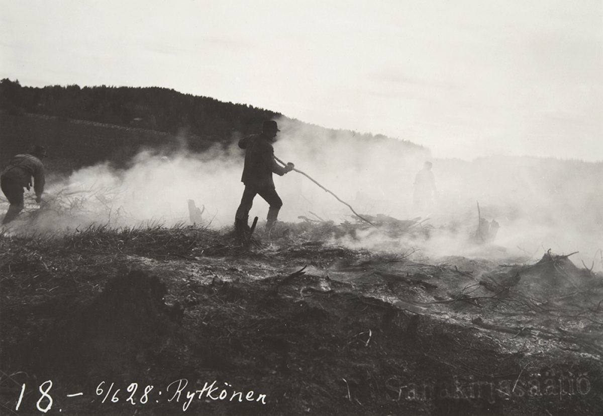 Slash-and-burn agriculture in Tuovilanlahti, Maaninka, 1928. Photo: Ahti Rytkönen / Picture Collections of the Finnish Heritage Agency