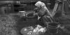Nainen suolaa perattuja kampeloita Liiviinmaalla 1912 (kuva rajattu), Vilho Setälä / Museoviraston Kuvakokoelmat. Objektinumero: SUK126:74